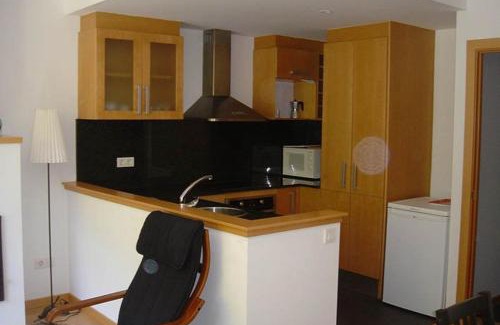Alt Aneu Appartement | Valencia de Aneu TP