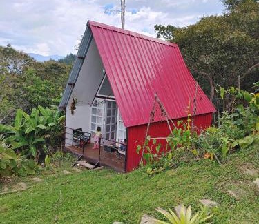 Cuispes Autre | Valle Yumbilla Yacu