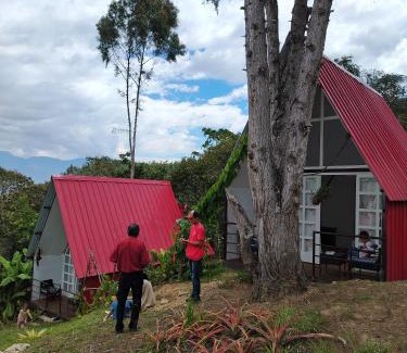 Cuispes Autre | Valle Yumbilla Yacu