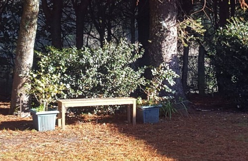 Rotorua Appartement | Valley Hideaway, calme et paisible