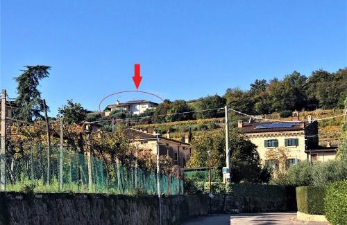 Negrar Appartement | Valpolicella Hills