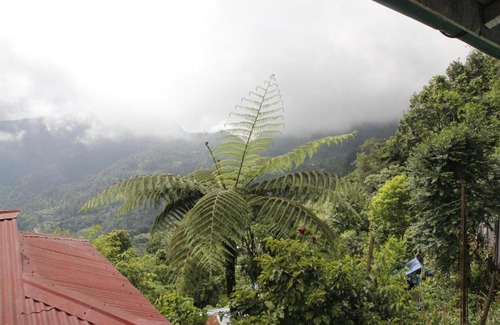 Geyzing Maison | Vamoose Mahimalaya