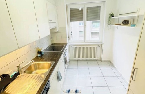 Olten Appartement | Vantage Point spacious 3 bedroom apartment | Olten Switzerland| railway station