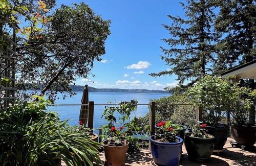 Vashon Island Cottage | Vashon Waterfront: superbes vues sur la forêt et la mer - Cosy, Sunny, Seaside Cottage