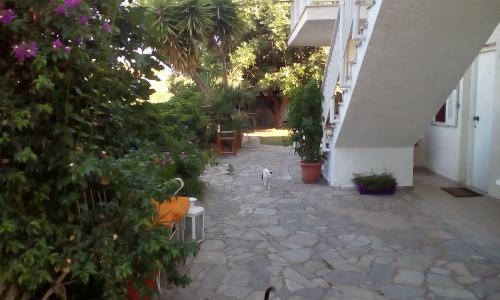 Nikolaiika Appartement | Vasiliki Apartments