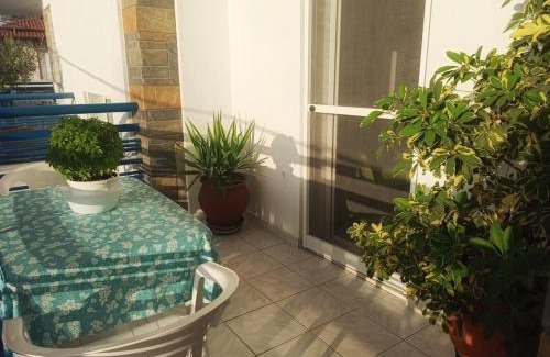 Flogita Appartement | Vassilikos Apartment