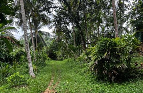Kirantidiya Maison | Vegan Nature Resort