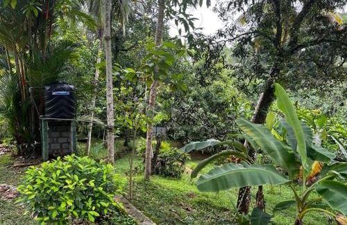 Kirantidiya Maison | Vegan Nature Resort