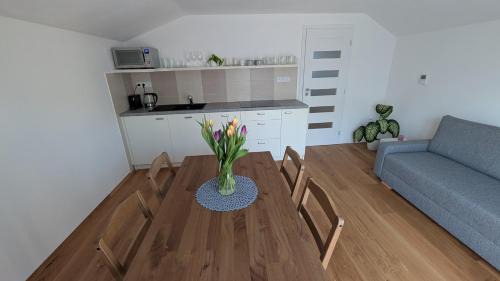 Nove Mesto na Morave Appartement | Vejminek NMNM