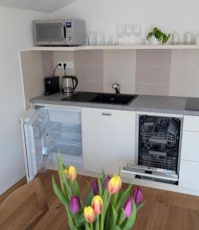 Nove Mesto na Morave Appartement | Vejminek NMNM