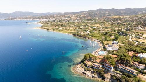 Nea Styra Hôtel | Venus Beach Hotel
