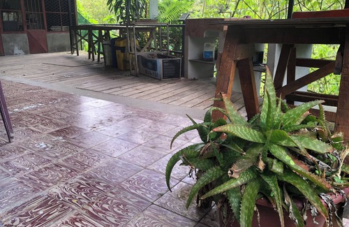 Bajos del Toro Maison | Verdant Arthouse w/ Riverview - minutes from cataratas!