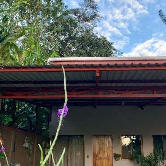 Bijagua Appartement | Verde Amanecer