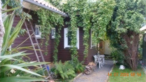 Dankerode Appartement | Vermiete sehr schönes Apartment in Dankerode im Harz
