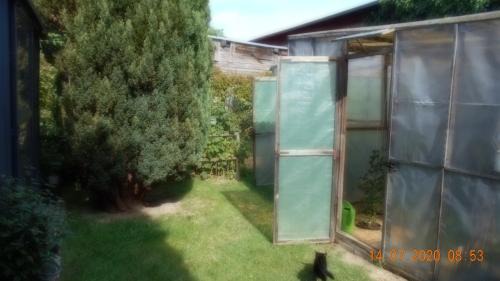Dankerode Appartement | Vermiete sehr schönes Apartment in Dankerode im Harz