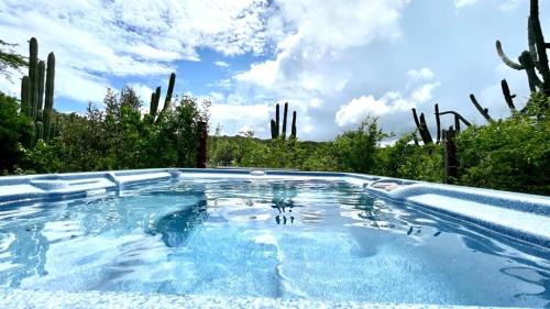 Savaneta Appartement | Very quiet apartment with lots of privacy and a tub on the edge of a national park!
