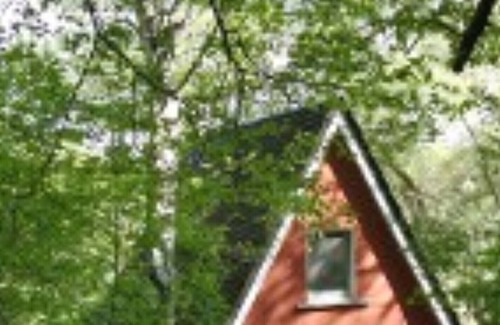 Bad Muskau Maison | Endroit très calme et idyllique dans une nature intacte!