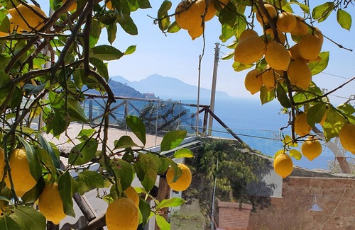 Pagani Appartement | VESUVIUS HOUSE