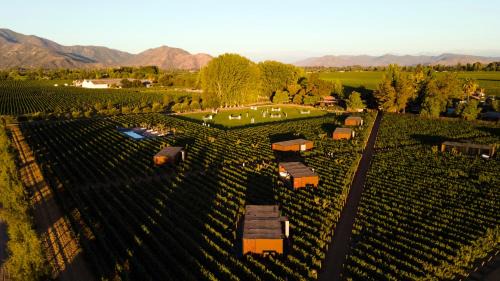 Cunaco Cabine | Vibo Wine Lodge At Viu Manent