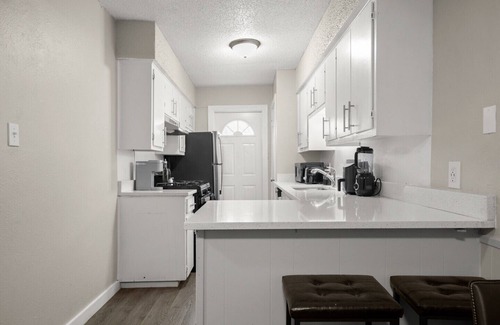 South Manchaca Appartement | Vibrant 1BR Apt 5 min to Downtown and Barton springs!