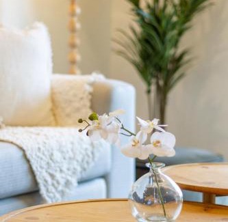 Christchurch City Centre Appartement | Vibrant Central Christchurch Pad 2 bed 1 bath with park