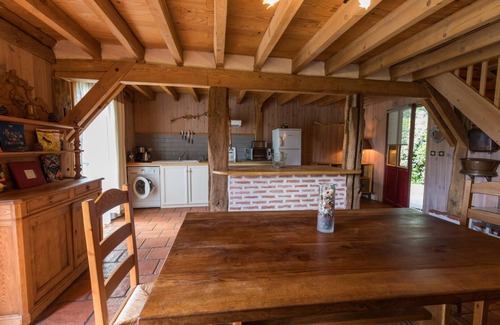 Vert Autre | Vieux chêne - VERT - Gîte