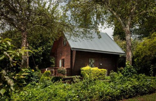 Haenertsburg Lit Et Petit-Déjeuner | Viewpoint Estate Accommodation