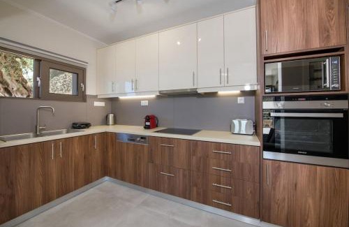 Amigdalokefali Appartement | Vigla Apartments No.3
