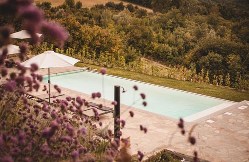 Rocchetta Palafea Maison | Vigna Rocchetta