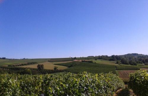 Isola d'Asti Appartement | Vigneti Brichet Alloggi Agrituristici