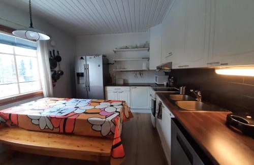 Hameenlinna Appartement | Viihtyisä ja tilava paritaloasunto hyvällä sijainnilla