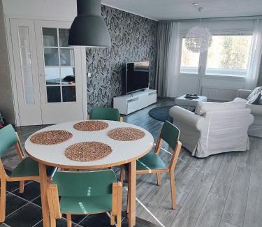 Maenttae-Vilppula Appartement | Viihtyisä kahden makuuhuoneen huoneisto Mäntässä