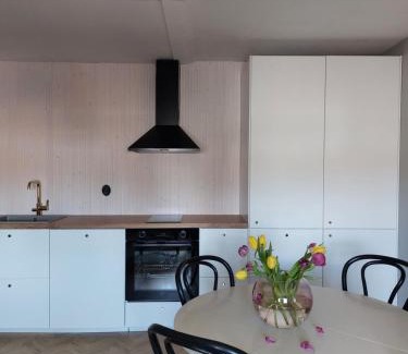 Kokkola Appartement | Viihtyisä kaksio keskuskentän vieressä