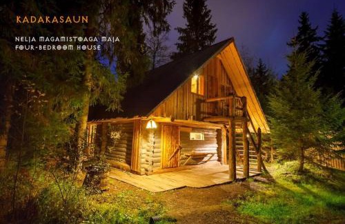 Saula Maison | Viikingite küla