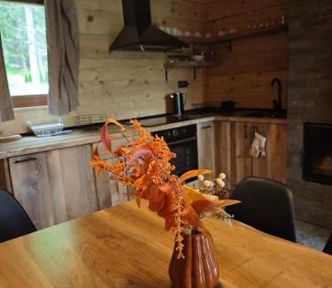 Mitrovac Appartement | Vikendice Dream