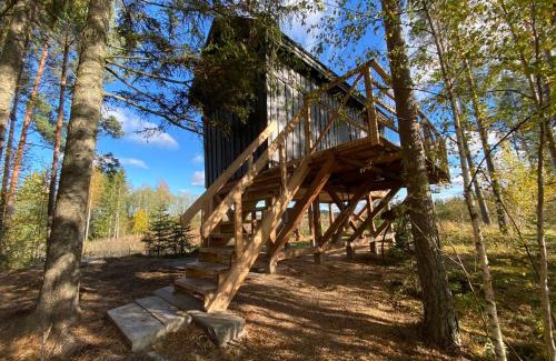 Pedvale Maison | Viking house in the tree! Jacuzzi, Sauna,apkure!