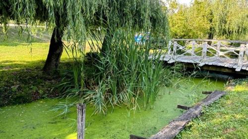 Makad Maison | Viktória Apartman DunaWeekend