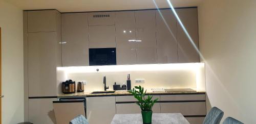 Smichov Appartement | Vikys Apartment