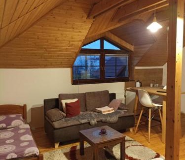 Poprad Maison | Vila Štefan Drevko