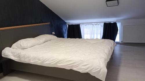 Valiug Maison | Vila Amadark