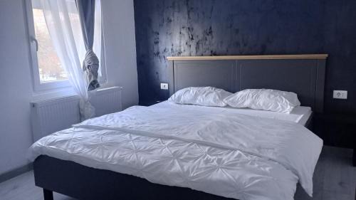 Valiug Maison | Vila Amadark