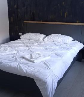 Valiug Maison | Vila Amadark