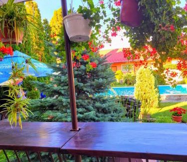 Hateg Maison | Vila Belvedere