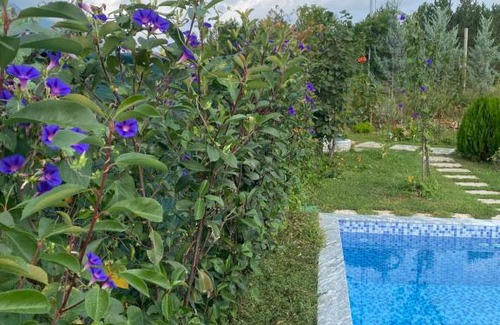 Dajt Maison | Vila elektra