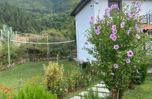 Dajt Maison | Vila elektra