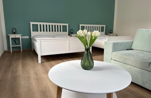 Ceske Budejovice Appartement | Vila Fráňa apartmán 1