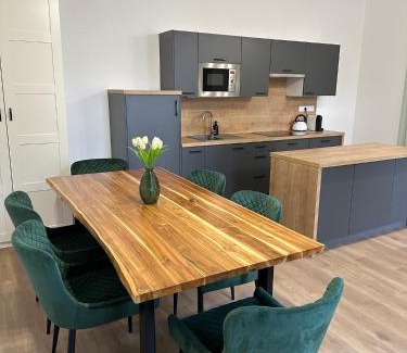 Ceske Budejovice Appartement | Vila Fráňa apartmán 1