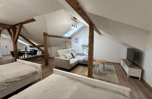 Ceske Budejovice Appartement | Vila Fráňa apartmán 3
