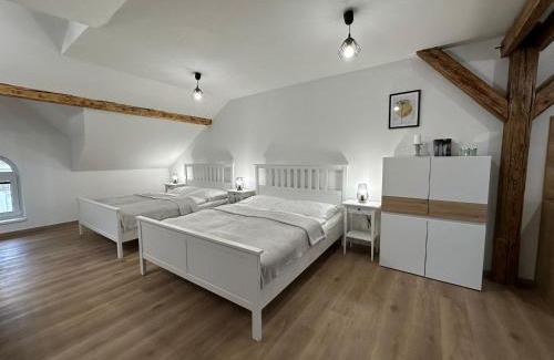 Ceske Budejovice Appartement | Vila Fráňa apartmán 3