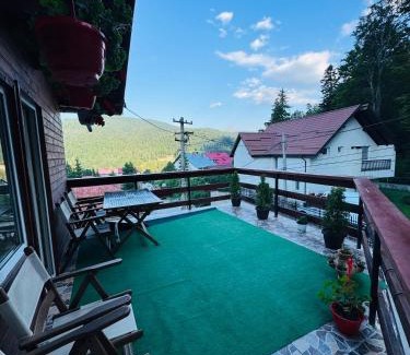 Busteni Cabine | Vila Gabi